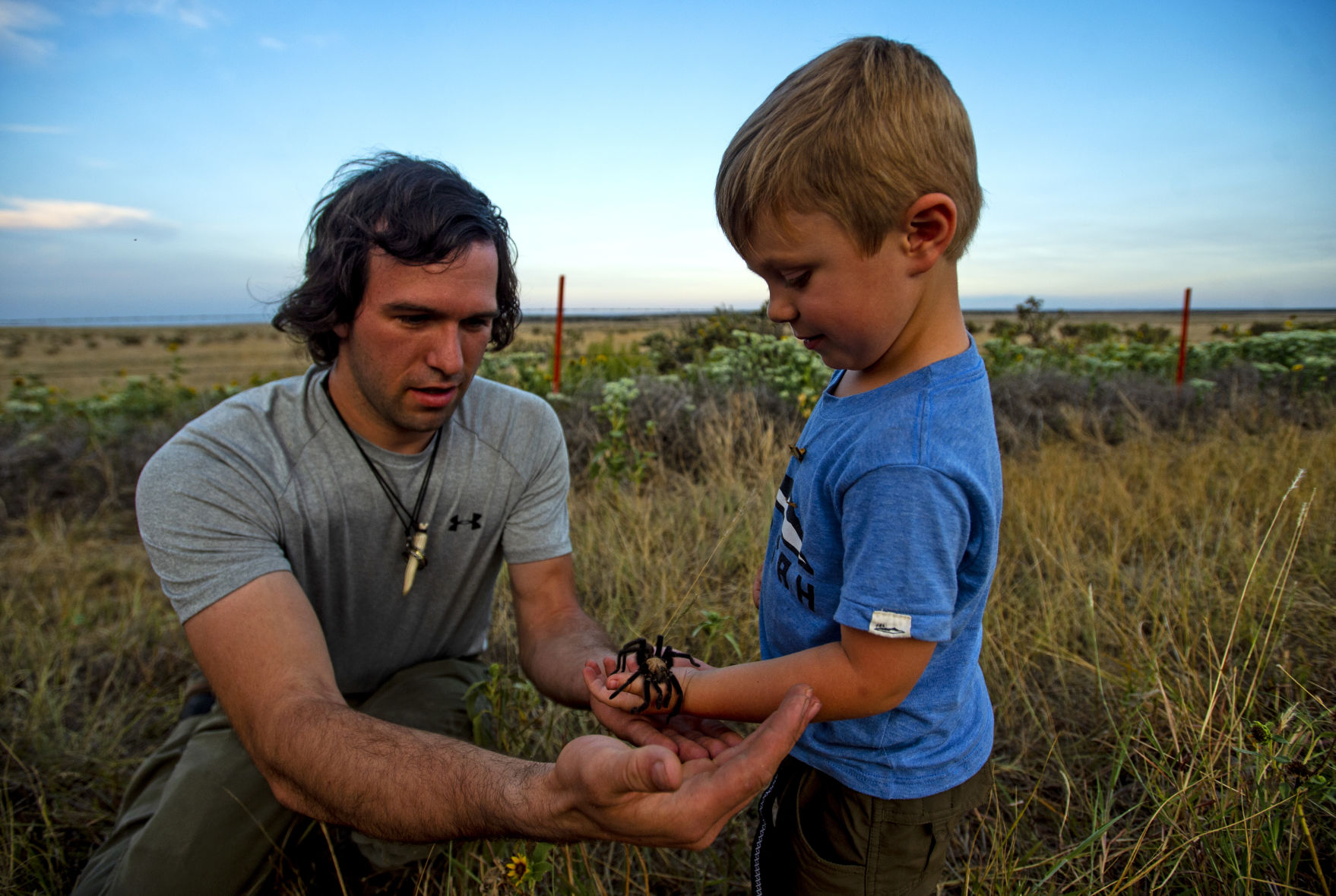 090719-news-tarantulas 01